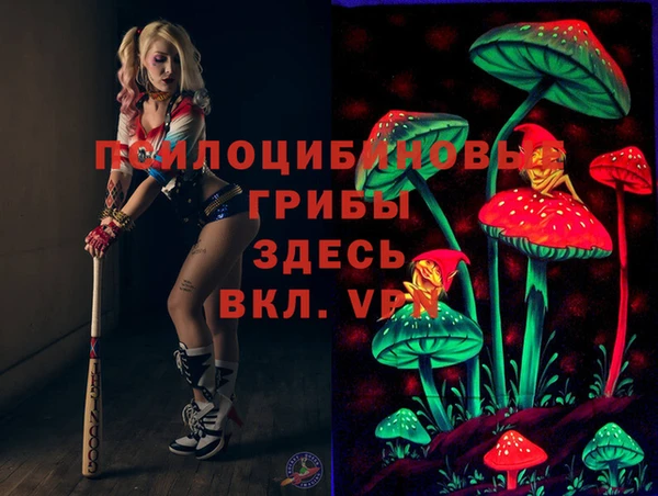 шишки Горнозаводск