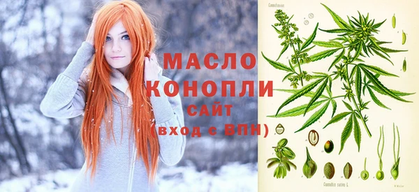 шишки Горнозаводск