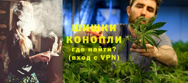 2c-b Горно-Алтайск