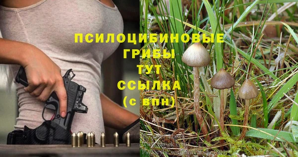 гашиш Горняк