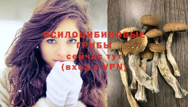 шишки Горнозаводск