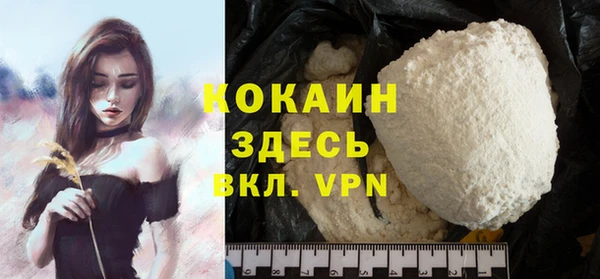 шишки Горнозаводск