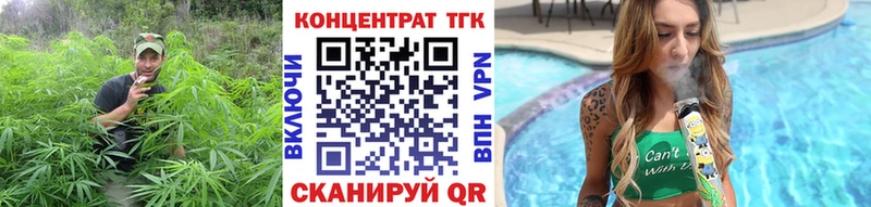 Купить закладки  Петровск-Забайкальский  ТГК Wax 