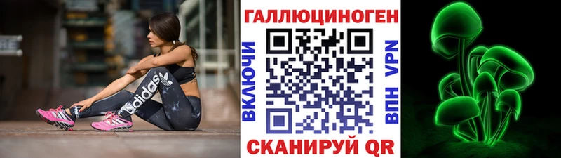 Галлюциногенные грибы Psilocybine cubensis  Купить где  Петровск-Забайкальский 